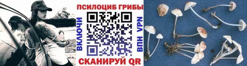 Псилоцибиновые грибы Magic Shrooms  Майкоп 