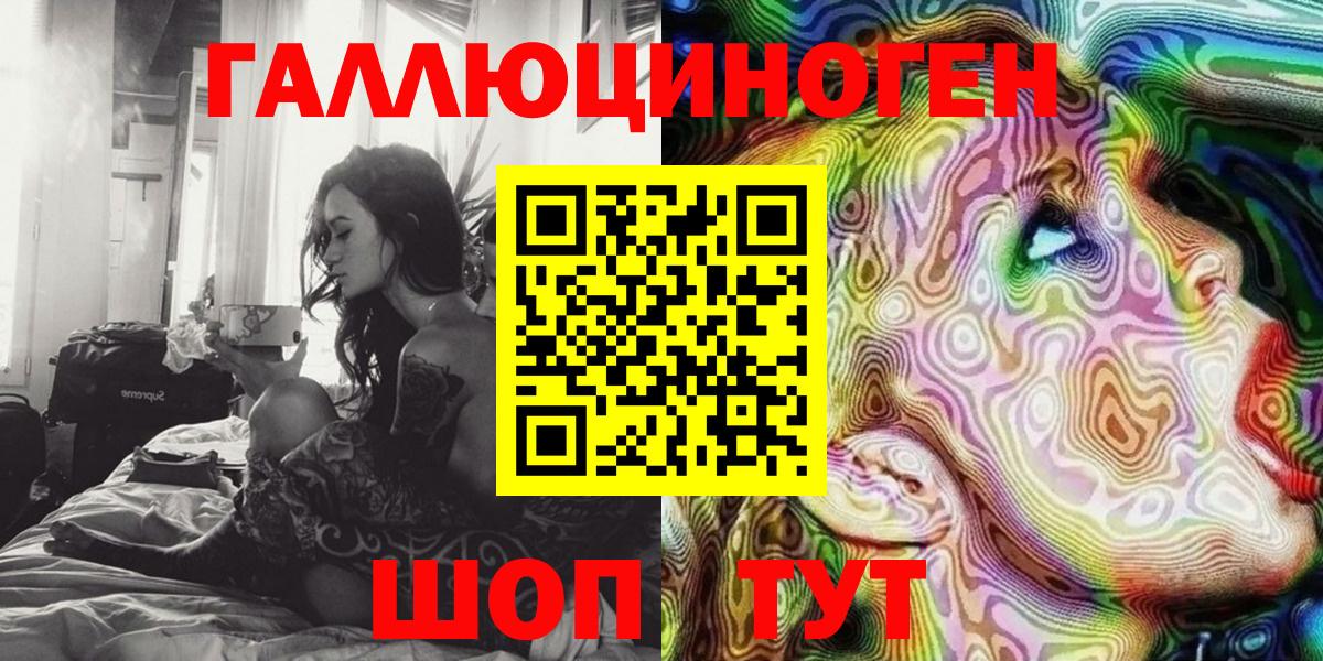 Псилоцибиновые грибы Psilocybe Майкоп