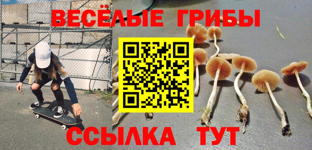 Галлюциногенные грибы MAGIC MUSHROOMS  Вход с VPN  Майкоп  Псилоцибиновые грибы Psilocybe 
